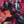 Corebreaker