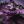 Whitefrost Sentry - Black Ice