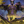 Corroded Colossus - Fool's Gold