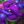 Plushie - Violet