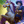Guan Unicorn