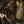 Plague Lord - Clockwork Contagion