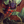 Void Wyrm