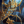 Void Wyrm - Emberglow Gold