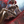 Vampiress - Moonlit Mistress