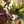 High Noon