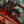 Infernal Omen