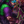 The Survivor - Splatterstorm
