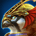 Horus