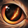 Eagle Eye